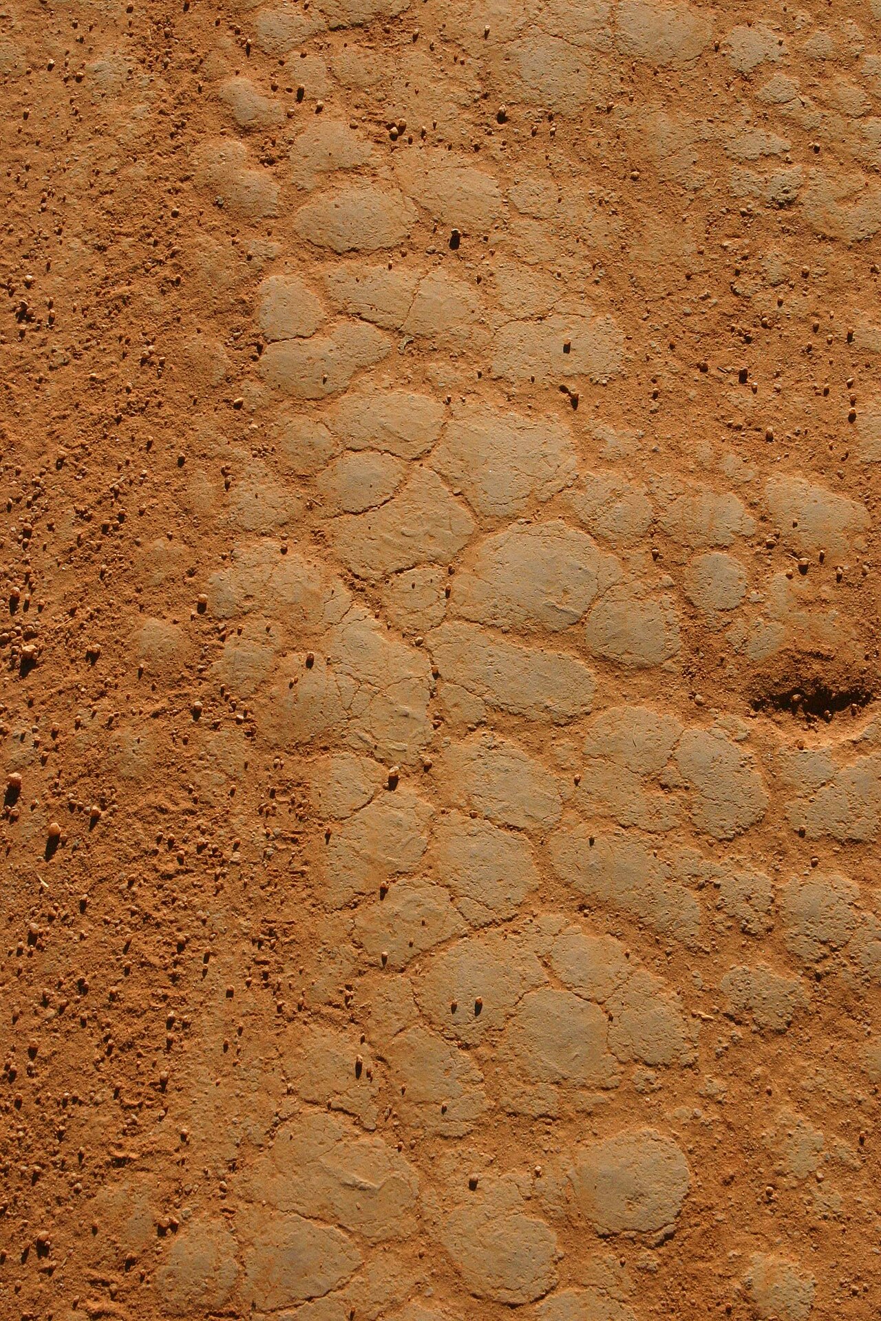 Amender un sol argileux : rendre la terre souple et fertile