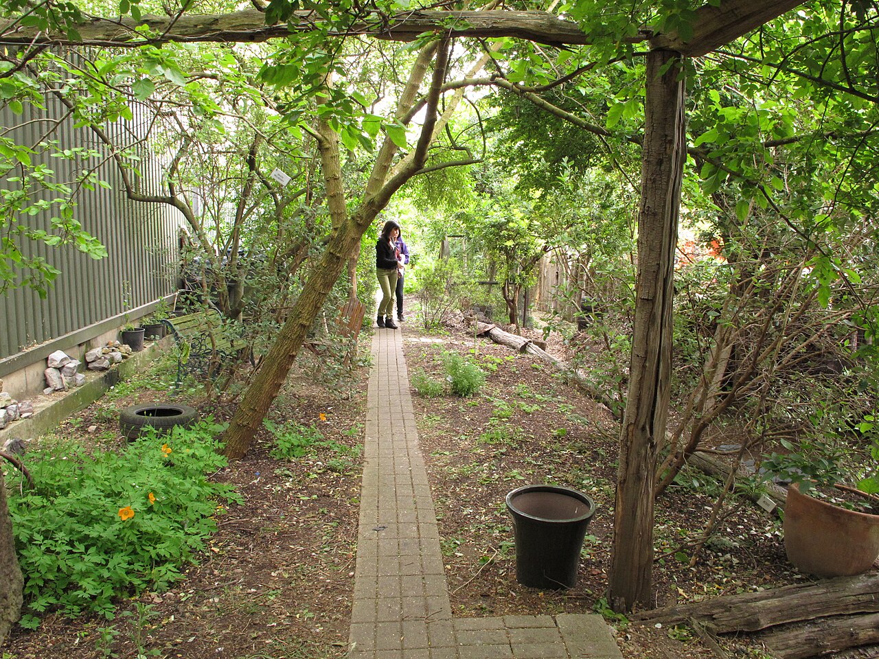 Bienvenue sur Permaculture Forêt