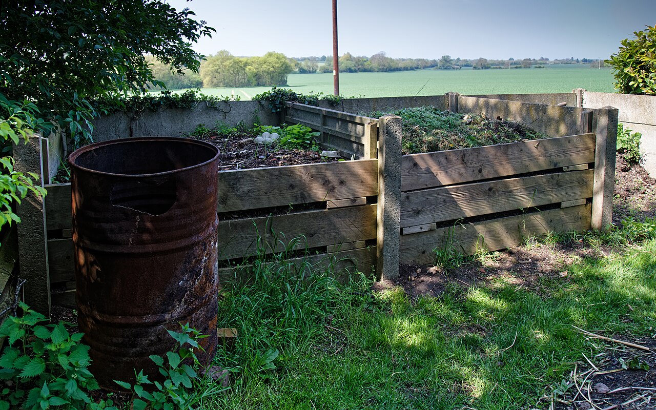 Compost maison : comment le réussir du premier coup