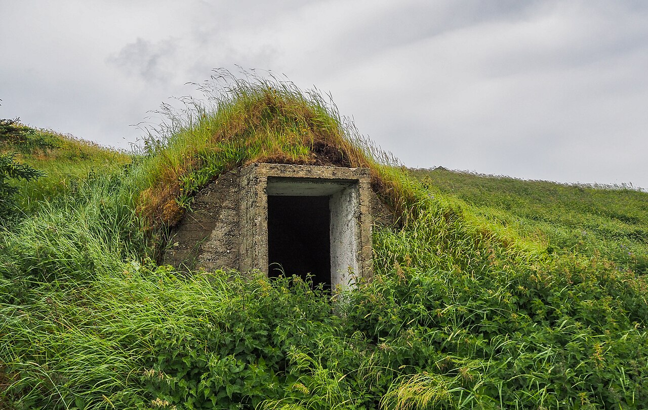 Conserver les légumes l'hiver : cave, jarre et sable