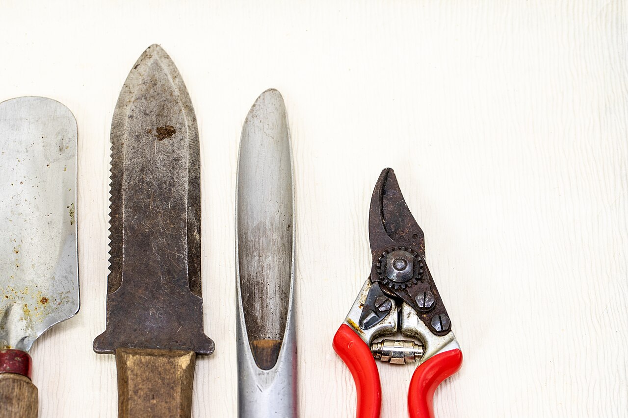 Affûter les outils de jardin : angle, lime et rangement