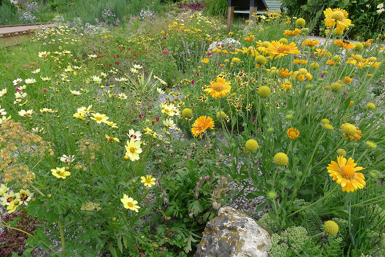 Permaculture en climat sec : créer un jardin-forêt comestible