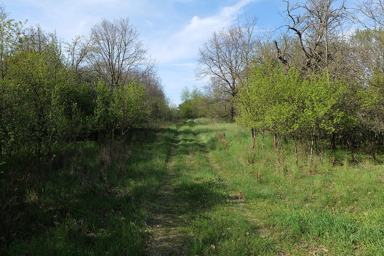 Verger en permaculture : strates, guilde et pâturage