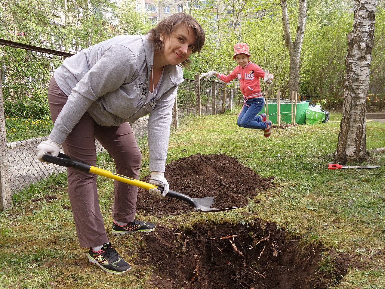 Planter un arbre fruitier à l'automne : le guide complet