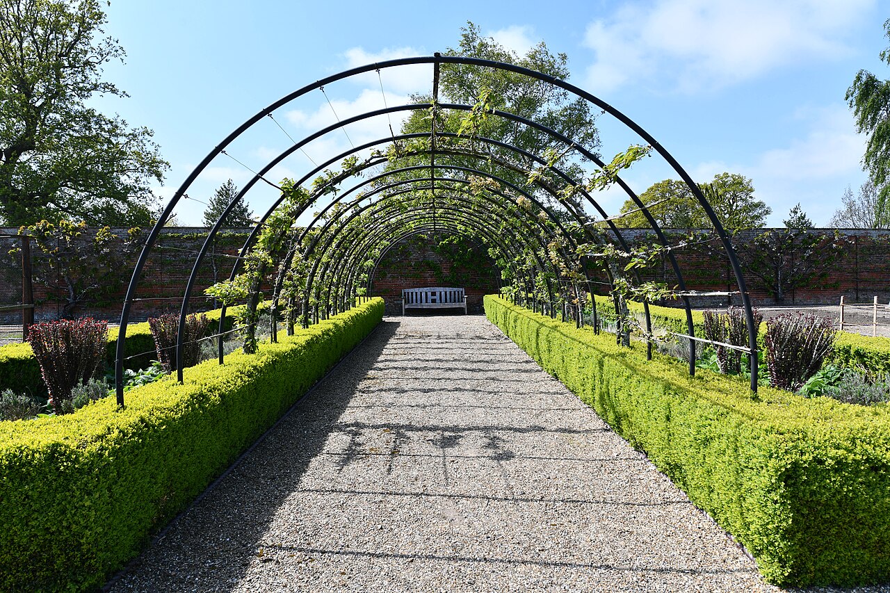 Fruitiers petit jardin : porte-greffes nains et palissage