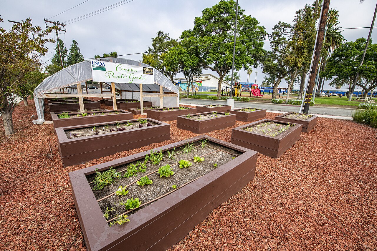 Potager en octobre : ce qu'il reste à faire avant l'hiver